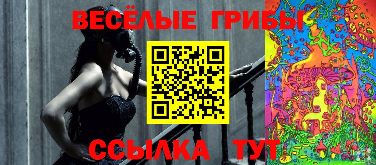 Псилоцибиновые грибы мухоморы Северобайкальск