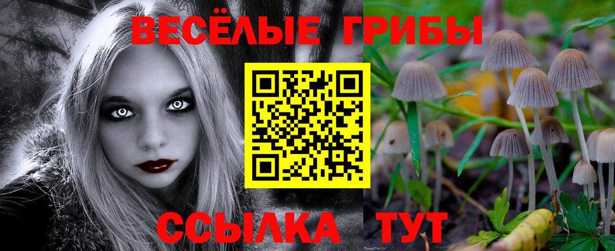 Псилоцибиновые грибы ЛСД  Псилоцибиновые грибы GOLDEN TEACHER  Вход с VPN  Северобайкальск 